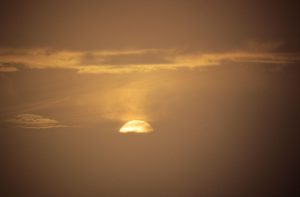IMG_1555
