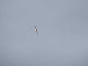 Typhoon.