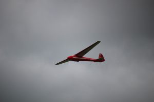 IMG_1831