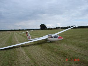Another Landout