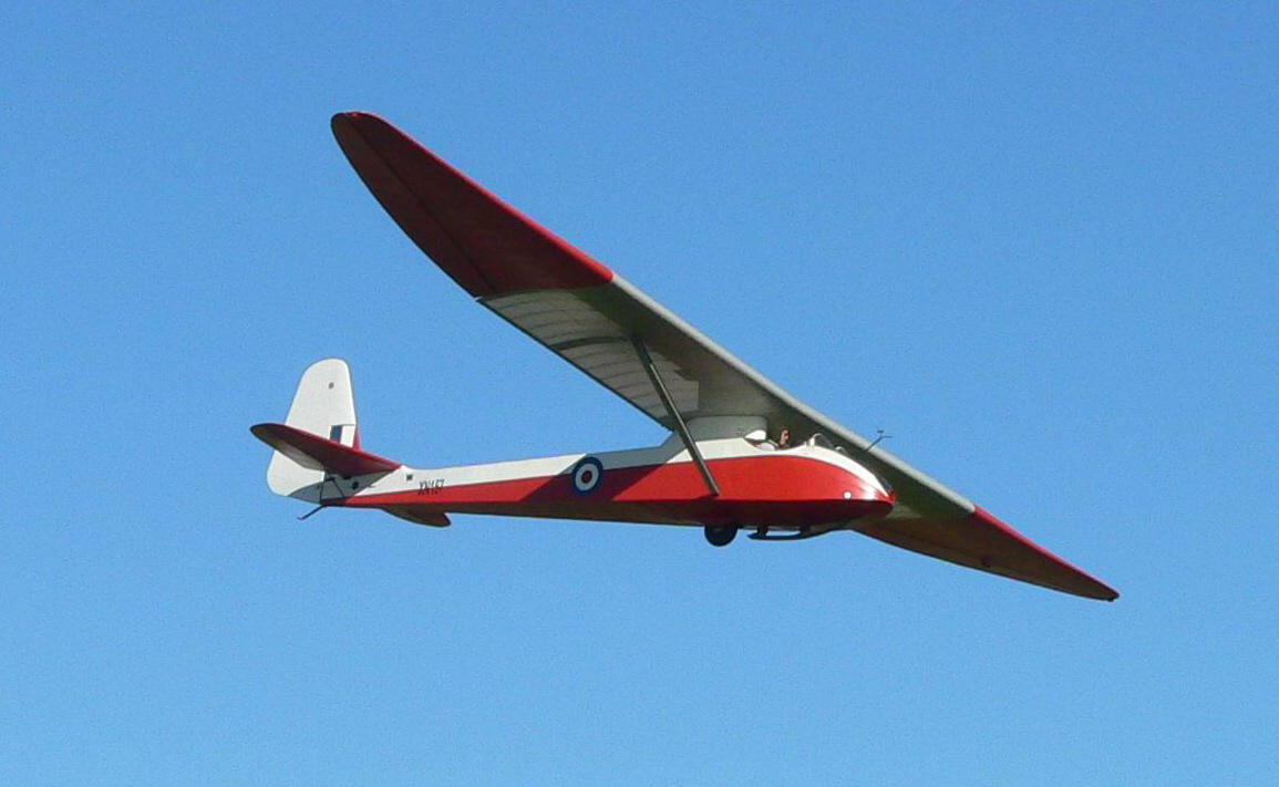 T21
