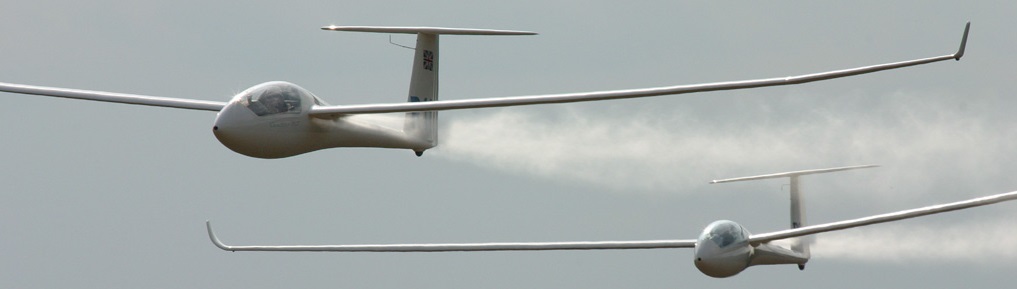 Gliders_Finishing_by_astir698