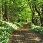 wenlock-edge-spring-s600x600